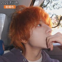 Dirty Orange Hair Dye Cream 2022 Pop color yourself Dyed Pure Natural Black Tea Brown Plant Bubble Foam