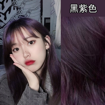 Black Purple Grey Hair Dye Cream 2022 Summer Pop Color yourself Dyed Pure Black Tea Color Plant Bubble Foam