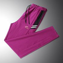 Outdoor Speed Dry Pants Men And Women Thin Mountain Hiking Hiking Camping Trip Sports Elastic Breathable Big Code Easy Quick Dry Pants