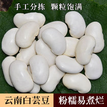 Spécialité du Yunnan gros haricots blancs produits secs 1000g haricots rouges grains entiers sucre alimentaire Yiduo gros haricots blancs