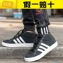 Cần bán giày nam Adidas sneakers Adidas sneakers cao giày the thao nữ cao cấp