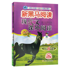 2022新黑马阅读六年级现代文课外阅读