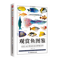 观赏鱼图鉴自然科学读物 海洋生物养殖鱼类科普百科全书图鉴书籍 鱼缸观赏鱼养殖热带海水鱼淡水鱼冷水性鱼饲养指南品种鉴别科普书