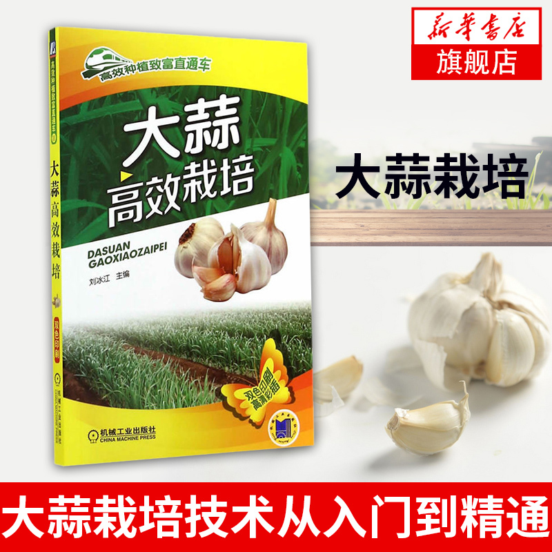 Garlic Cultivation: Liu Bingjiang's Efficient Planting and Wealth-Building Guide. Garlic Cultivation Techniques from Beginner to Expert. Complete Set of Garlic Cultivation Tutorials and Textbooks. Garlic Cultivation Books and Varieties. High-Efficiency Garlic Cultivation
