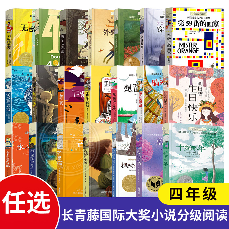 Evergreen International Award-Winning Novel Graded Reading for Fourth Grade: Blueberry Season, the Miracle of Maple Mountain, the Child of the Fairy, after School Goes Home to Egypt, You Are so Brave, 49 Grams of Life, Invincible, the Mystery of Luisa Cupid
