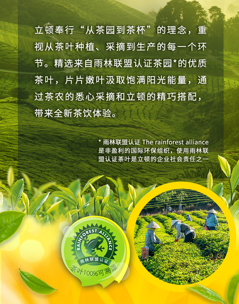 立顿 黄牌精选红茶 100包*2盒 赠奶茶5包 图6