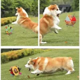 Плюшевая игрушка для выхода на улицу, домашний питомец, издает звуки, избавление от скуки