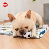 Резиновая баскетбольная футбольная игрушка для тренировок, домашний питомец, издает звуки