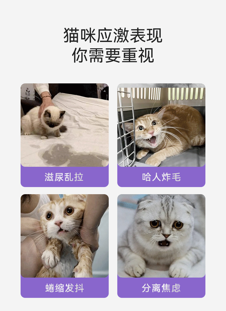 Calm Your Feline Friend: Gentle Pheromone Patch for Happy Cats - Taobao product photo 7