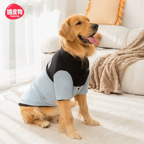 Собачье лицо хлопка домашнее пальто большие собачьи одежды осенью и зимой утолщен теплый золотисто