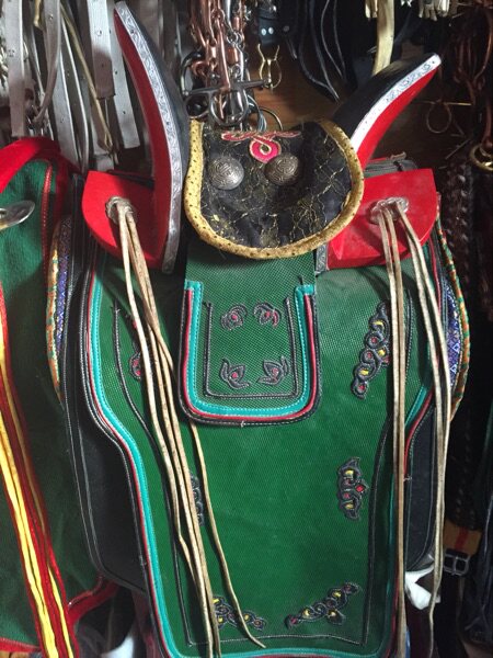 Saddle horse riding horse riding in saddle horse saddle standing saddle horse equestrian horse with wooden saddle Mongolia saddle