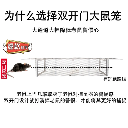 Семейство артефактов Cate Cage Cage Cathcisted -Автоматическое и эффективное захват, пойманные захватывающими профессиональных крыс мыши в помещении