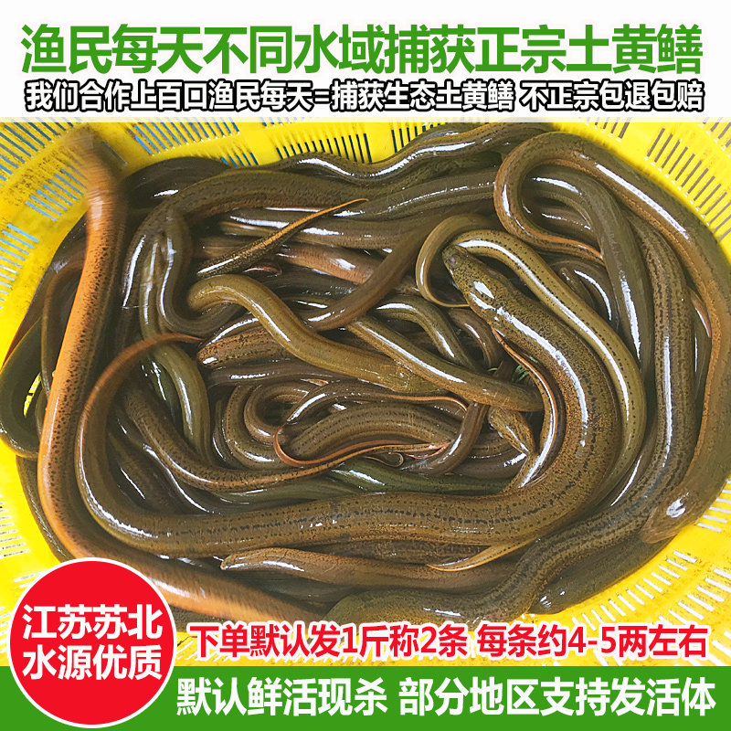 undefined-淘宝网