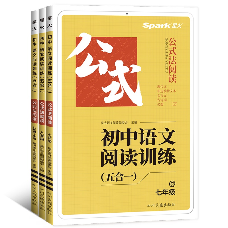 2024星火初中语文阅读理解公式法答题模版技巧专项训练七八九年级中考初一初二初三巅峰组合训练满分公式法现代文文言文课外教辅书