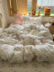 ins Aerobic Double-Layer Gauze 2026 New Soft Cotton Gauze Four-Piece Set Bed Sheet Duvet Cover Student Dormitory Three-Piece Set 4