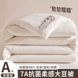 Class a Soybean Fiber Quilt, Summer Cooling Quilt, Air Conditioning Quilt, Pure Cotton Spring and Autumn Quilt, Quilt Core, Single Student Dormitory Mattress 4