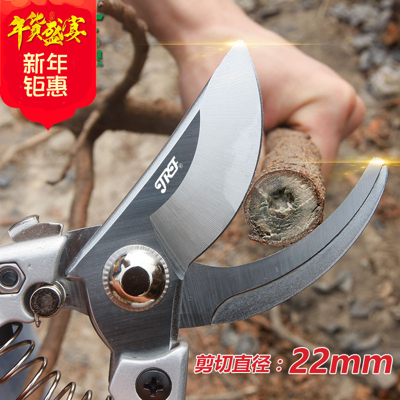 修剪树枝剪刀园林工具花剪园艺剪刀修枝剪子花枝剪刀粗枝剪