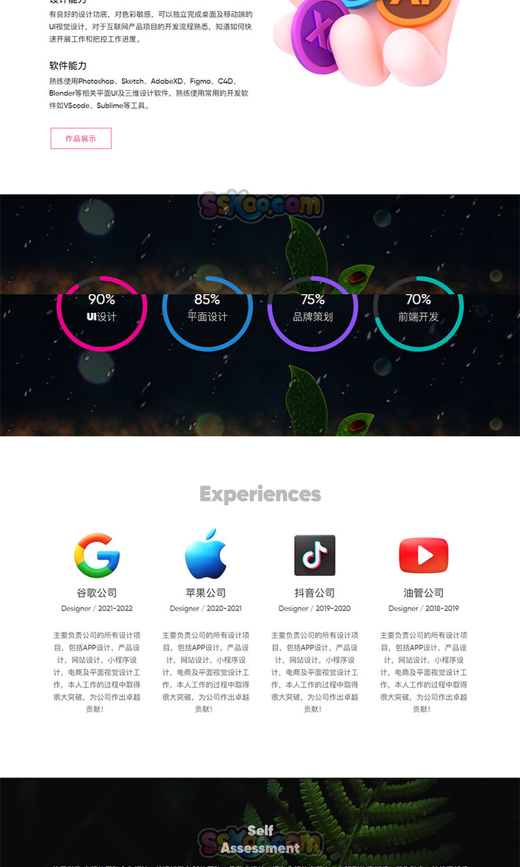 个人主页前端源码HTML+CSS+JS作品展示网站网页响应式H5自适应插图2