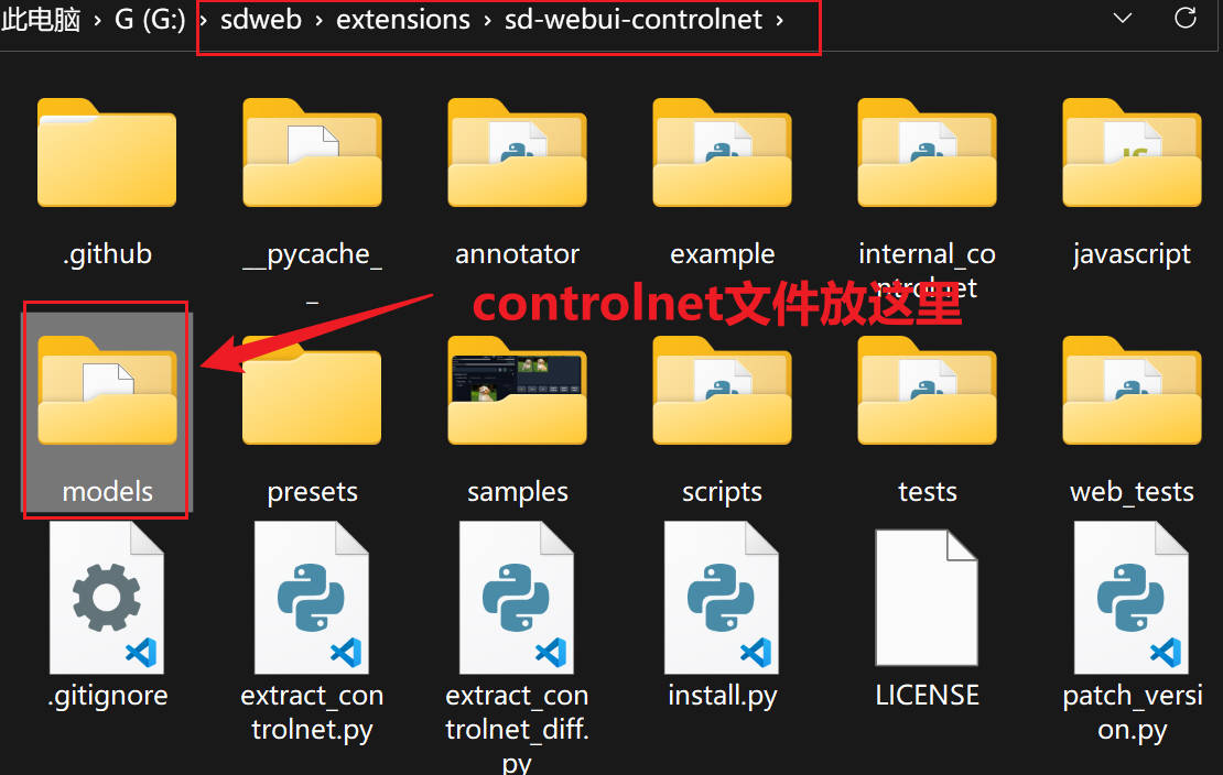 controlnet文件放这里