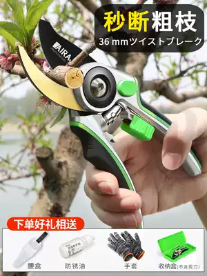 Arrize gardening scissors, fruit tree branches, garden flowers, scissors, pruning shears, picking fruit artifact