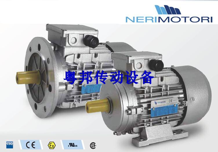 Italian NERI MOTORI SINGLE-PHASE MOTOR M63B4B14 0 18kw SINGLE-PHASE CAPACITIVE START MOTOR