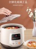 Supor Electric Stew Pot for Home Use, Water-Sealed Stewing Pot, Soup Pot, Electric Clay Pot, Bird's Nest Porridge Maker, New Cooking Appliance