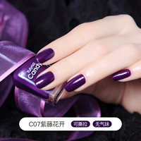 C07 Blishia Flowers Bloom (фиолетовый)