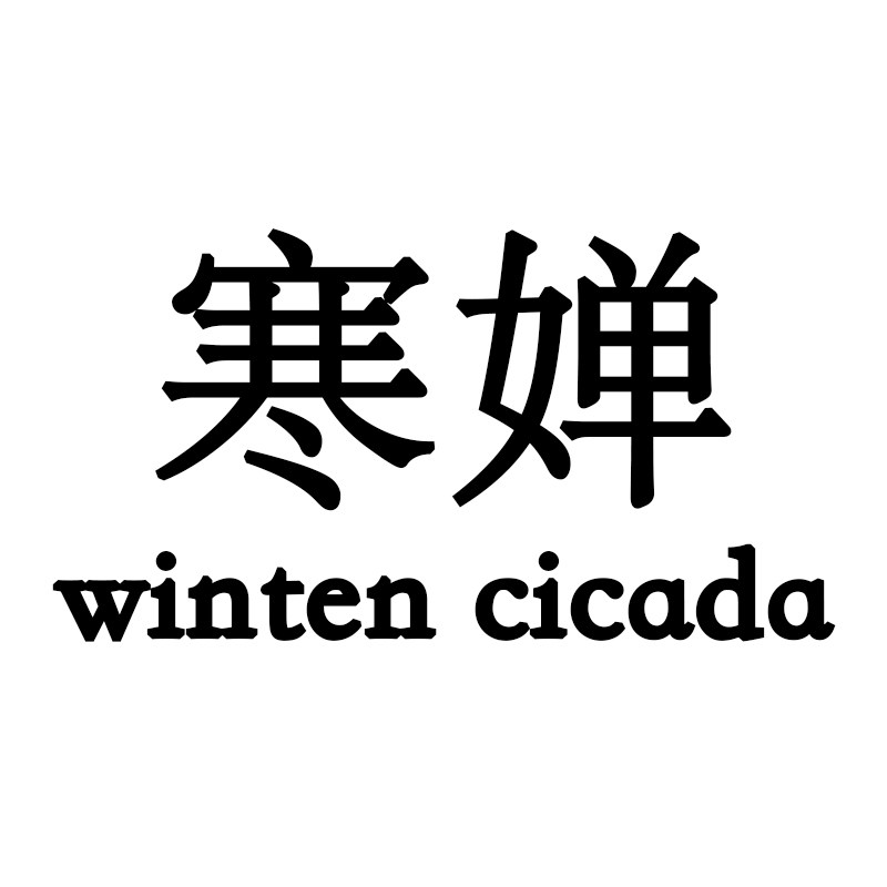 寒婵锁骨链饰品