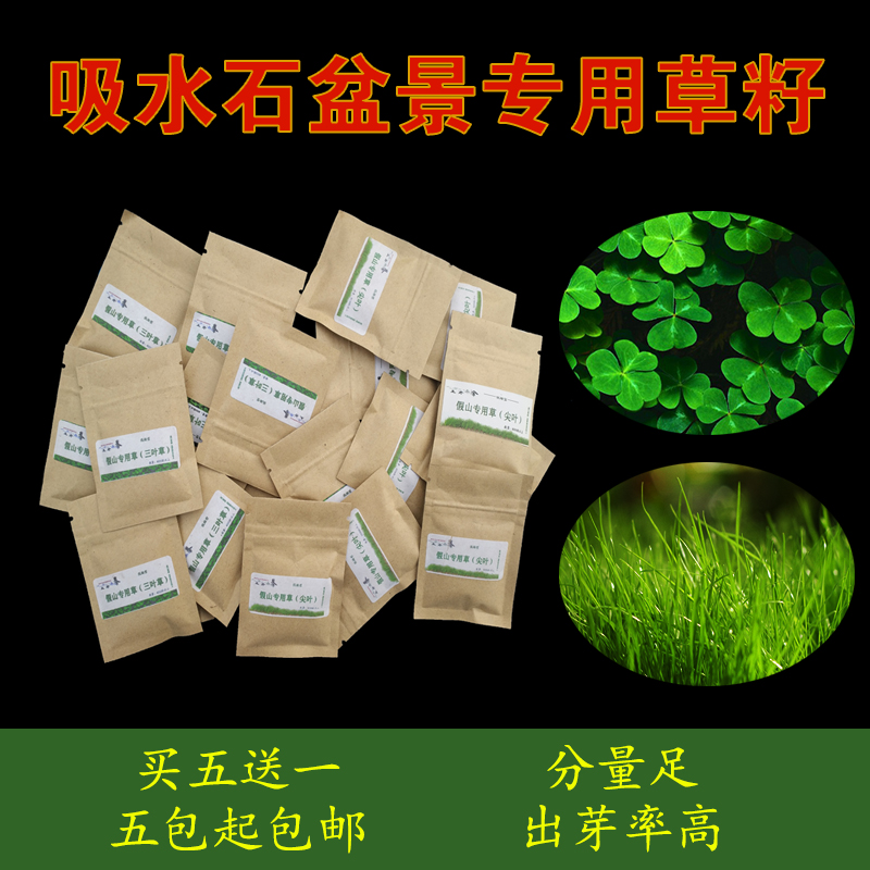 Water absorbent stone water rock rockery bonsai grass seed green plant grass seed round leaf grass clover flower plant micro landscape