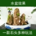 Đá nước tự nhiên nhỏ đá cây cảnh hình dạng đá hấp thụ đá đá cảnh quan đá trang trí quà tặng