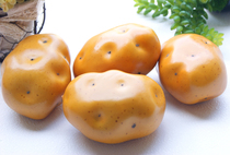 High simulation vegetable model props simulation potato model fake potato potato cabinet refrigerator early education props