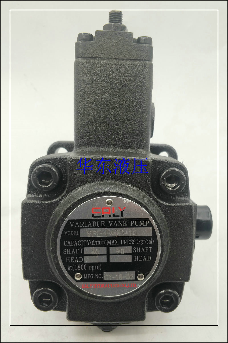 Taiwan Cruise Force EALY VPE-F40C-9T VPE-F40D-9T Spline Shaft Variable Vane Pump Oil Pump