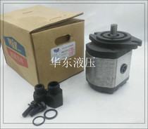 WINMOST Taiwan Peak EG-PB-14-R EG-PB-14-R EG-PB-11-R EG-PB-8 16 EG-PB-8 19-R gear pump