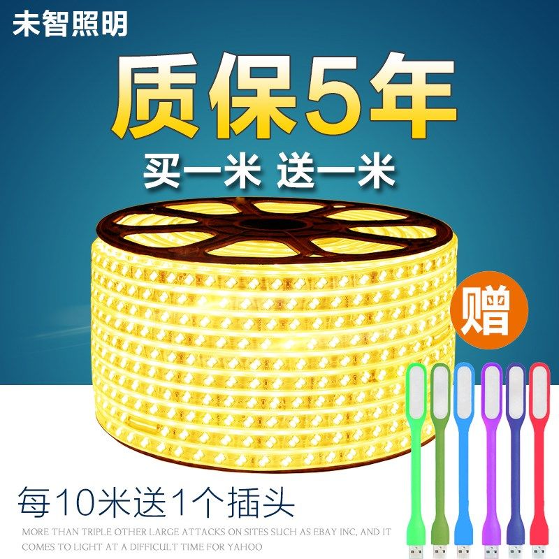 220V ultra bright LED light with 2835 double-row soft light strip 5050 Living room ceiling lamp trough outdoor waterproof light belt