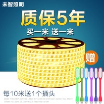 220V super bright LED light strip 2835 double row soft light strip 5050 living room ceiling light trough outdoor waterproof light strip