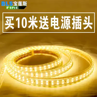 Super bright LED light with remote control 16 color living room decoration double row colorful warm light 220V waterproof soft light bar