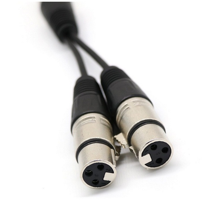 Kannon 1 bi - caron farmers turn double - Kannon Public Caron Line 2 XLR Callon Line 1 and 2 audio lines