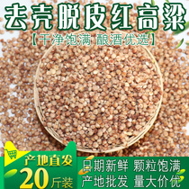 In 2020 the new Northeast sorghum shelled and skinned red sorghum to feed pigeons 20 pounds of grain and feed