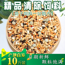Fine clearance feed Bird food nutritional clearance feed Bird food young pigeons Pigeon food hair change feed 10 pounds