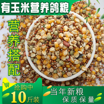 (10 catty)Nutrition Corn nutrition Saifei feed Carrier pigeon viewing pigeon food grain bird food 10 catty
