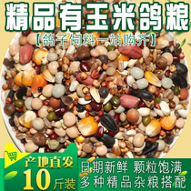 Fine corn pigeon food Pigeon food nutrition Adult pigeons young pigeons Ornamental pigeons Fine grain nutrition collocation 10 pounds