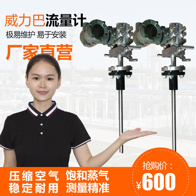 Veriba flowmeter Aniuba Deltaba Picoba flowmeter integrated into the gas flue gas flowmeter