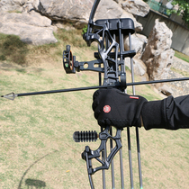 Straight drawing Bow Arrow reverse bow shooting archery professional competitive sports suit alloy composite bow high precision bow and arrow