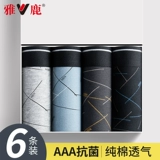 Хлопковые трусы, дышащие спортивные штаны, антибактериальные шорты, большой размер