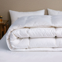 Thickened winter cotton down quilt export quality single Double 1 5 × 2 3 meters winter quilt core