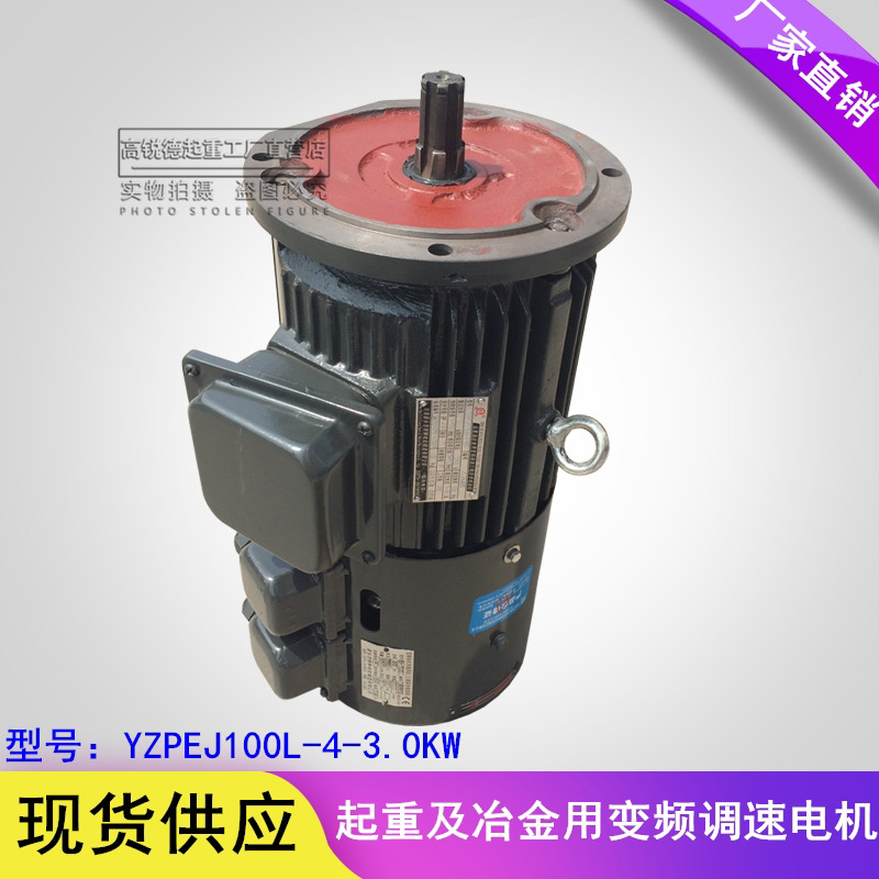 Frequency conversion motor crane metallurgical use frequency conversion speed regulation three-phase asynchronous motor YZPEJ100L2-4-3 0KW