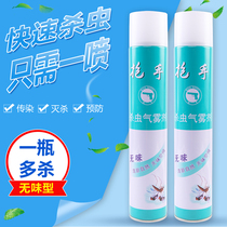 Insecticidal spray household indoor pesticide fly Ant mosquito cockroach insecticidal aerosol 750ml