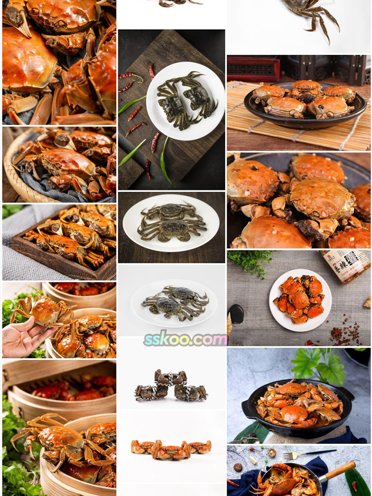 大闸蟹海鲜图片螃蟹特写美食菜单画册海报设计高清图片摄影素材插图18