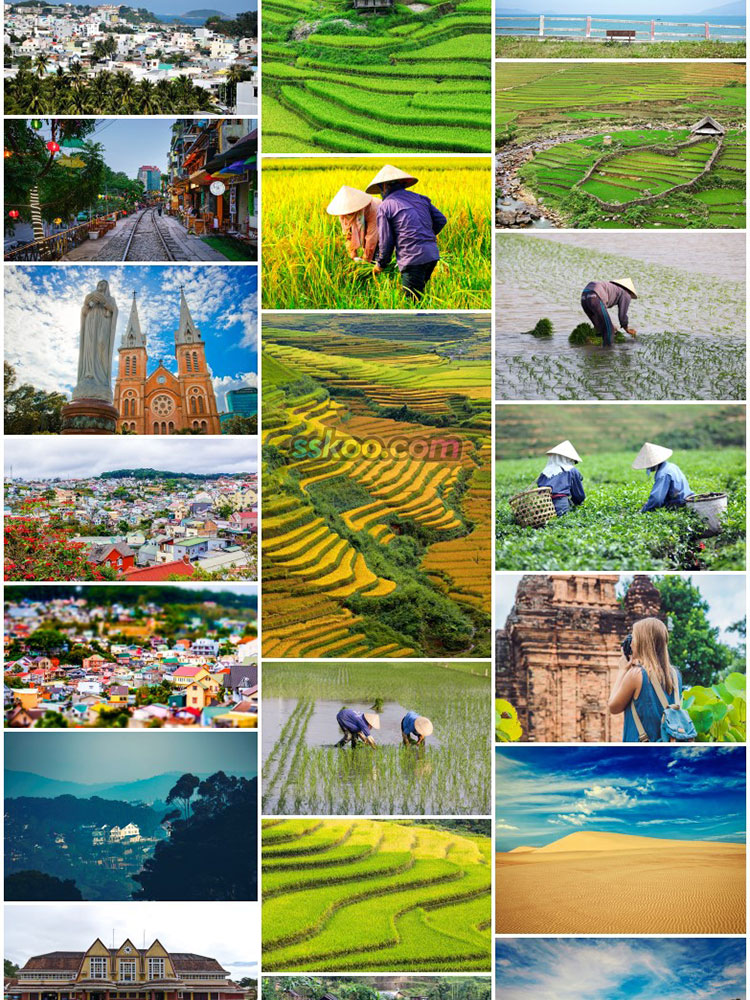 越南巴拿山芽庄胡志明市梯田大教堂东南亚高清图摄影设计背景素材插图13