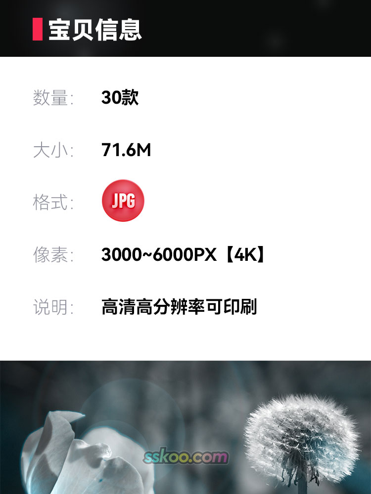 蒲公英场景高清JPG摄影特写照片4K壁纸背景图片插图设计素材插图1